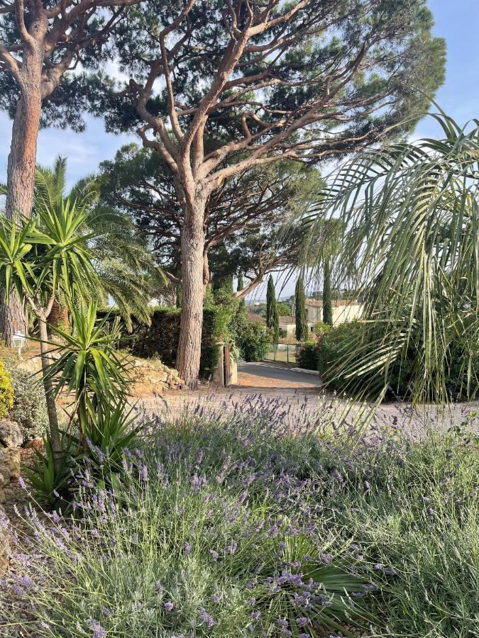 مبيت وإفطار سانت ماكسيم Paradis Provencal المظهر الخارجي الصورة
