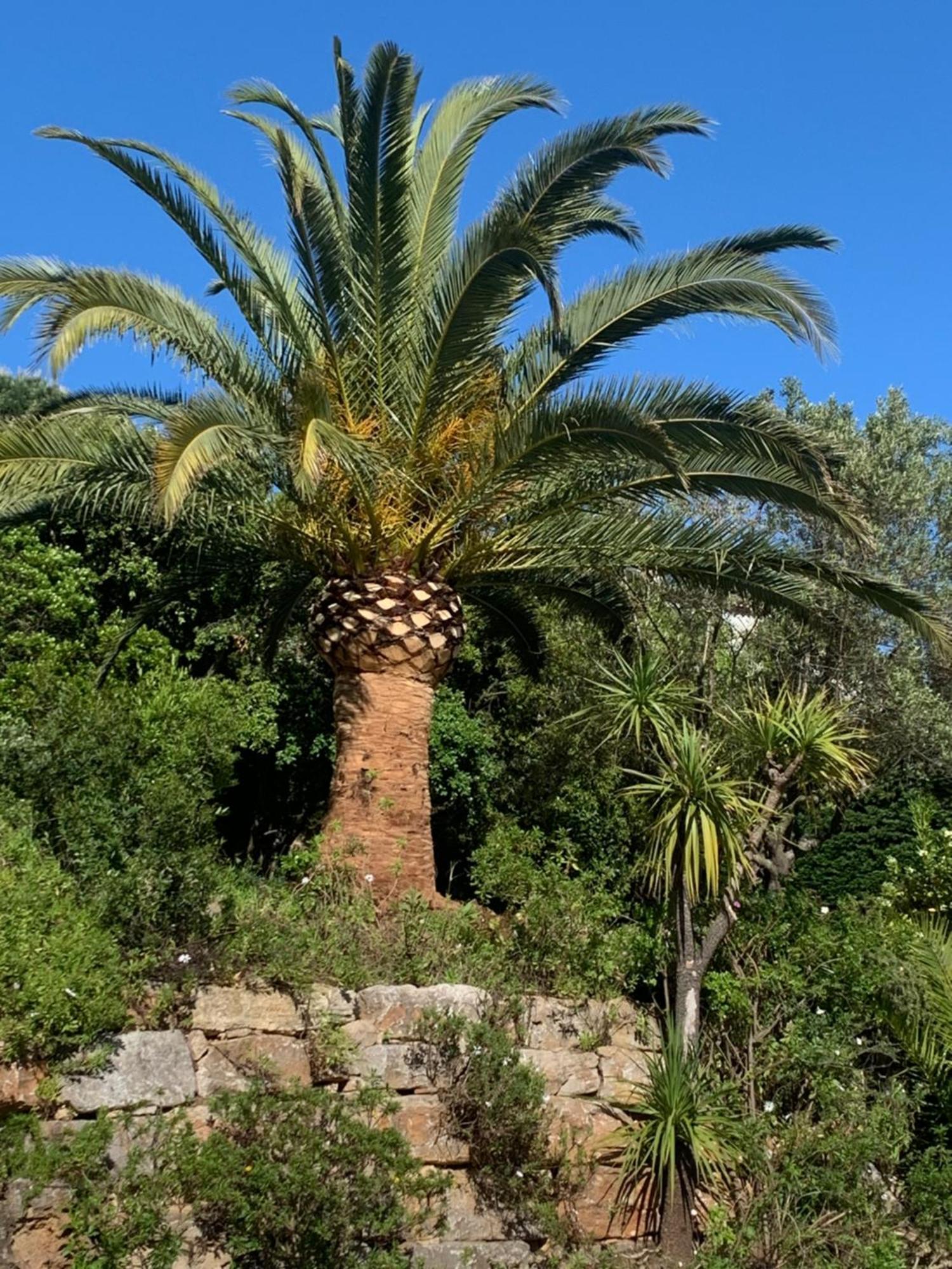 مبيت وإفطار سانت ماكسيم Paradis Provencal المظهر الخارجي الصورة